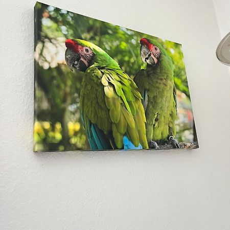 Residence La Reine Rennes-les-Bains Екстериор снимка